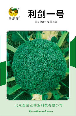 利剑一号