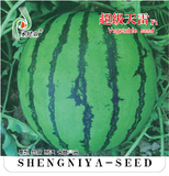 超级天雷
