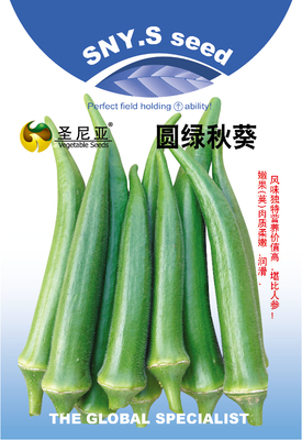 圆绿秋葵