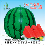 精品韩国京欣
