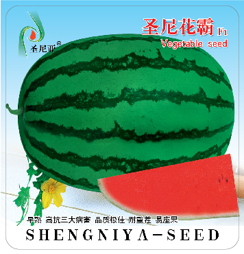 圣尼花霸
