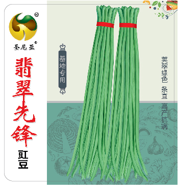 翡翠先锋