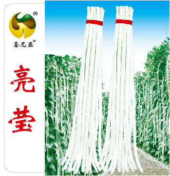 亮莹(1000)